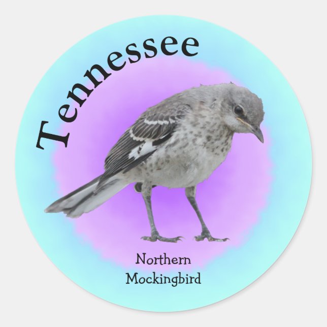 Sticker Rond Oiseau d'État du Tennessee (Devant)