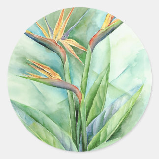 Sticker Rond Oiseau Fleur Tropical De Peinture Paradisiaque - M