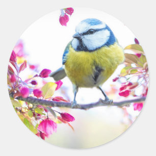 Sticker Rond Oiseau mignon