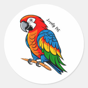 Sticker Rond Oiseau Perroquet Coloré