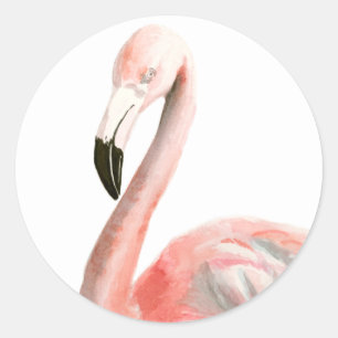 Sticker Rond Oiseau tropical de Flamant rose