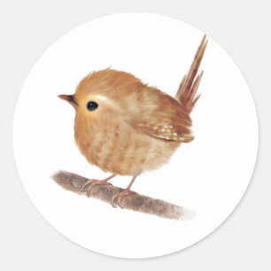 Sticker Rond Oiseau Wren Personnalisé
