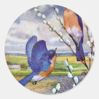 Sticker Rond Oiseaux bleus