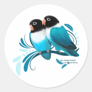Sticker Rond Oiseaux bleus masqués