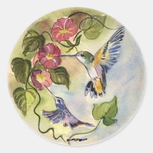 Sticker Rond Oiseaux de Humming