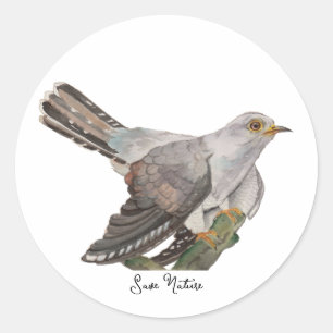 Sticker Rond Oiseaux de la forêt