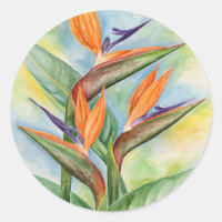 Oiseaux De Paradis Fleurs Aquarelles Peinture Art