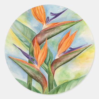 Sticker Rond Oiseaux De Paradis Fleurs Aquarelles Peinture Art