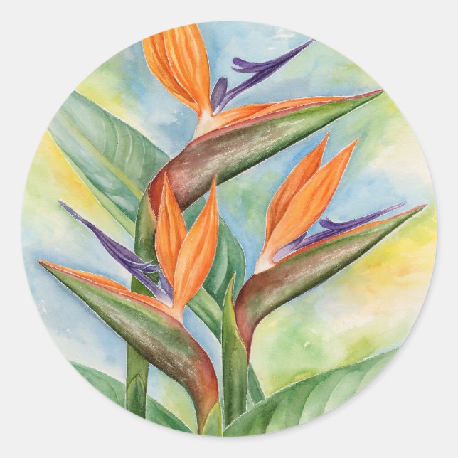 Sticker Rond Oiseaux De Paradis Fleurs Aquarelles Peinture Art (Devant)