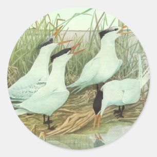 Sticker Rond Oiseaux de rivage vintage dans un marais par Louis