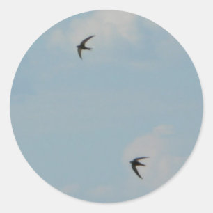 Sticker Rond Oiseaux d'hirondelles