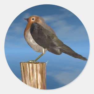 STICKER ROND OISEAUX HYPER / ROBIN BREAST ROUGE