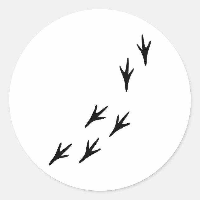 Sticker Rond Oiseaux - Pistes (Devant)