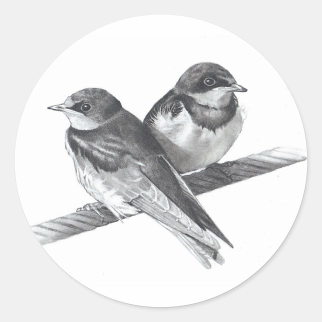 STICKER ROND OISEAUX SUR FIL : BÉBÉS : ARTWORK PENCIL (Devant)
