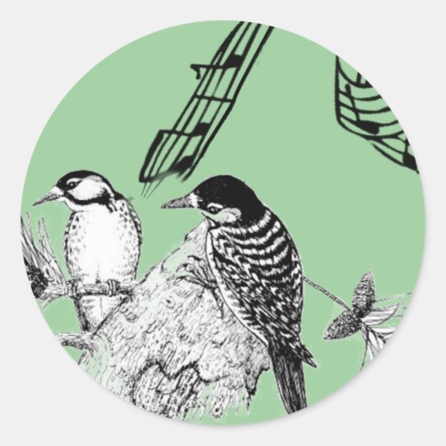 Sticker Rond Oiseaux Vintage (Devant)