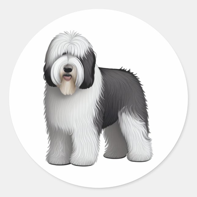 Sticker Rond Old English Sheepdog 10 (Devant)