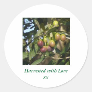 Sticker Rond Olives rides