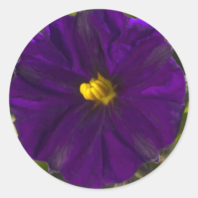 Sticker Rond Ombre de minuit (Devant)