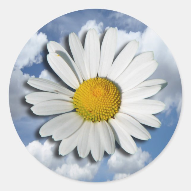 Sticker Rond Only a Marguerite Blossom + your text & ideas (Devant)