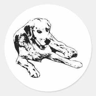 Sticker Rond Or en lignes simples