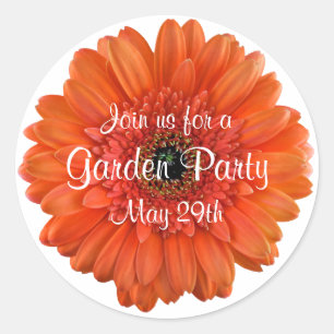 Sticker Rond Orange Gerbera Daisy Garden Party Enveloppe Sceau