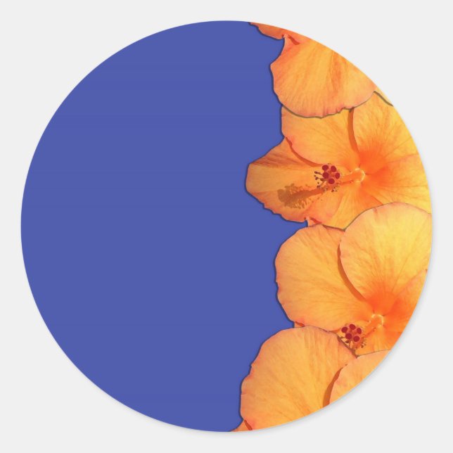 Sticker Rond Orange Hawaiian Hibiscus Fleurs (Devant)