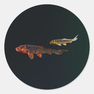 Sticker Rond Orange Koi et Gold Koi