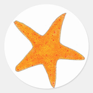 Sticker Rond Orange Starfish Star Fish Beach Party Ocean Life
