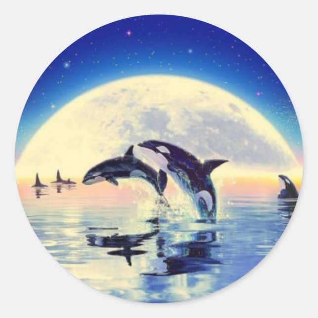 Sticker Rond Orca Whales (Devant)