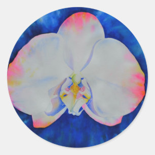 Sticker Rond Orchid rose Blush