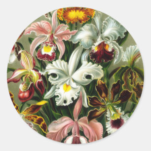 Sticker Rond Orchidae