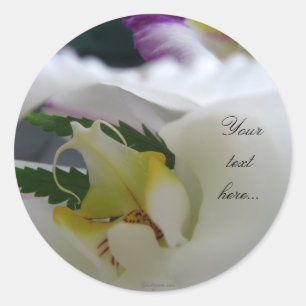 Sticker Rond Orchidée Blanche Beauté Mariage Invitations Phoque