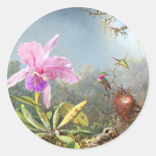 Sticker Rond Orchidée et trois colibris