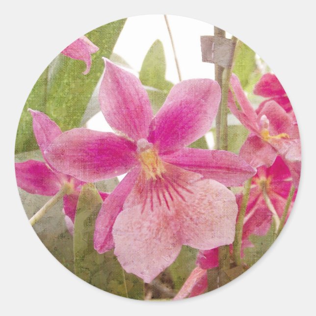 Sticker Rond Orchidée rose (Devant)
