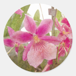 Sticker Rond Orchidée rose