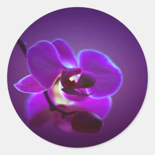 Sticker Rond Orchidée violette