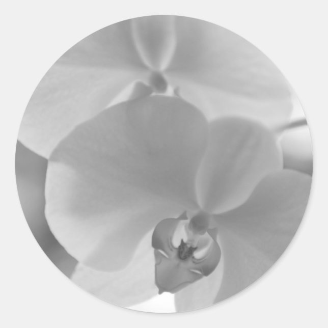 Sticker Rond Orchidées noires et blanches (Devant)