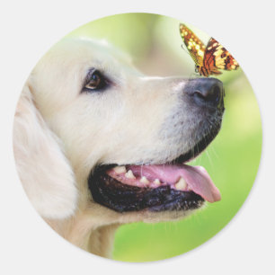 Sticker Rond Oreiller À Lancer Du Labrador Et Du Papillon