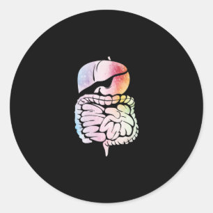 Sticker Rond Organes Internes Humains Anatomie Art Système Dige