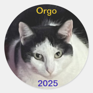 STICKER ROND ORGO