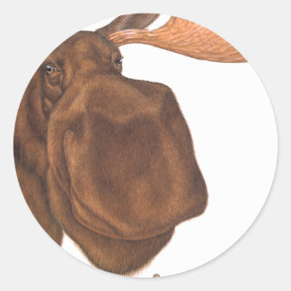 Sticker Rond orignal