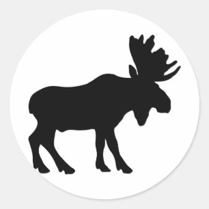 Sticker Rond Orignaux