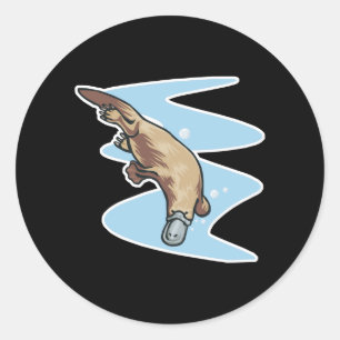 Sticker Rond ornithorynque à bec de canard nageant