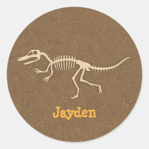 Sticker Rond Os de Vélociraptor Dinosaure Cool Pour Garçons