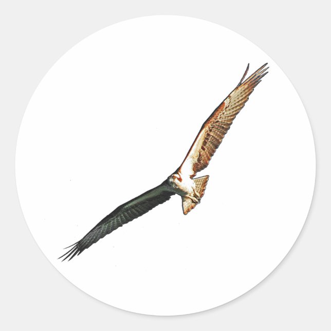 Sticker Rond Osprey (Devant)