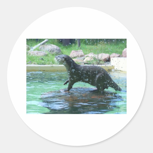 Sticker Rond Otter (Devant)