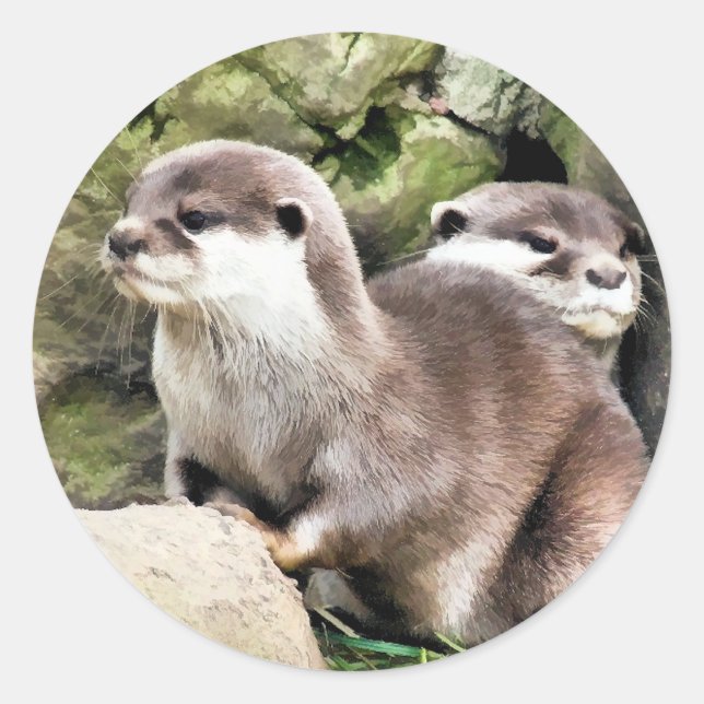 STICKER ROND OTTERS (Devant)