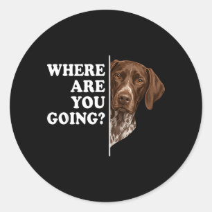 Sticker Rond Où vas-tu Pointer allemand à poil court Chien
