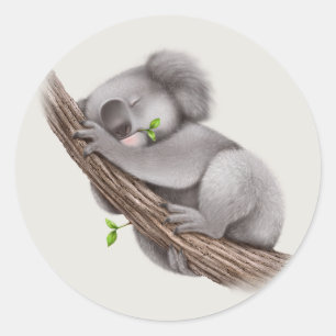 Sticker Rond Ours de koala somnolent mignon
