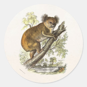 Sticker Rond Ours Koala Ours d'illustration vintage des années